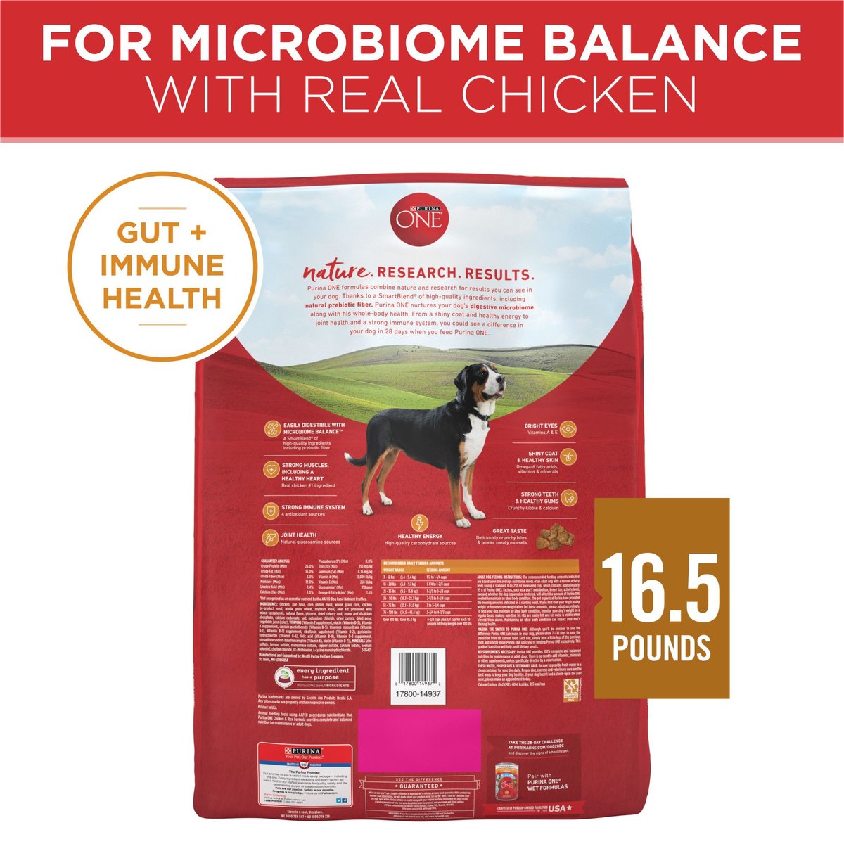 Chewy purina clearance one dog food