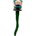 Polly's Pet Products Sand Walk Orthopedic Nail Trimming Small Bird Perch, Green
