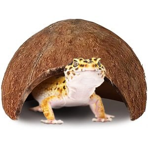 SunGrow Coco Shell Small Pet Hideout, 3x5-in