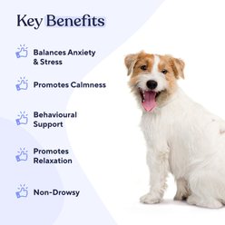 Pawfy Calming Turkey Flavor Chews Dog Supplement, 30 count slide 2 of 6