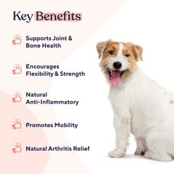 Pawfy Hip & Joint Chicken Flavor Chews Dog Supplement, 30 count slide 2 of 6