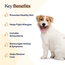 Pawfy Skin & Coat Chicken Flavor Chews Dog Supplement, 30 count slide 2 of 6