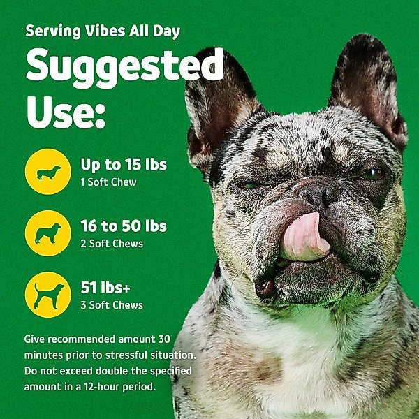 Show full view: Vibeful Calming Melatonin Peanut Butter Flavored Soft Chews Calming Supplement for Dogs, 90 Count slide 6 of 9
