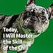 Show in main carousel: Vibeful Calming Melatonin Peanut Butter Flavored Soft Chews Calming Supplement for Dogs, 90 Count slide 7 of 9