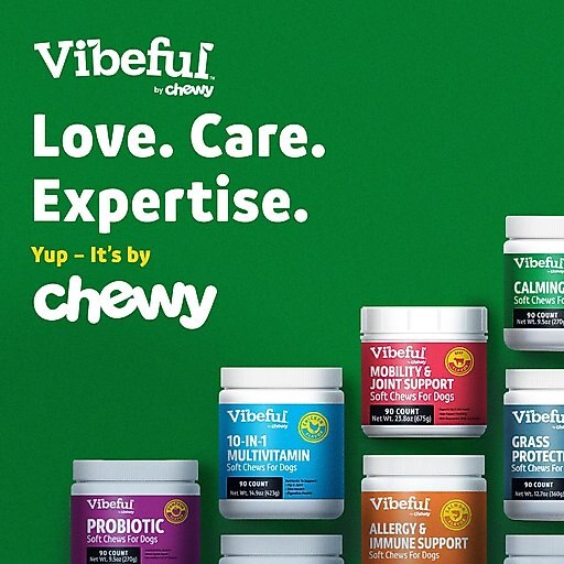 Vibeful Calming Melatonin Turkey Flavored Soft Chews Calming Supplement for Dogs, 90 Count