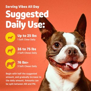 Vibeful Allergy & Immune Support Peanut Butter Flavored Soft Chews Allergy & Immune Supplement for Dogs, 90 Count