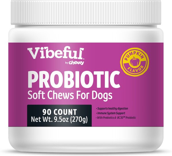 Vibeful Probiotic Bites Pumpkin Flavored Soft Chews Digestive Supplement for Dogs, 90 Count slide 1 of 8