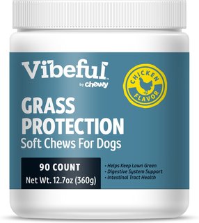 can i give my dog vitamin c for uti