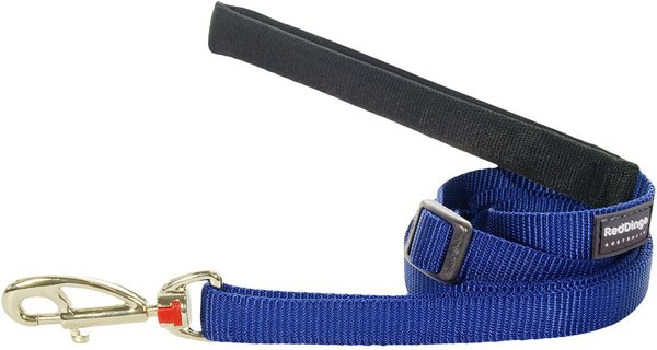 RED DINGO Classic Nylon Dog Leash, Blue, Large: 6-ft long, 1-in wide ...