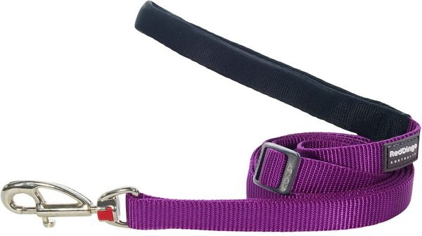 Red Dingo Classic Nylon Dog Leash, Purple, X-Small: 6-ft long, 1/2-in wide slide 1 of 8