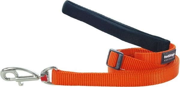 Red Dingo Classic Nylon Dog Leash, Orange, X-Small: 6-ft long, 1/2-in wide slide 1 of 9