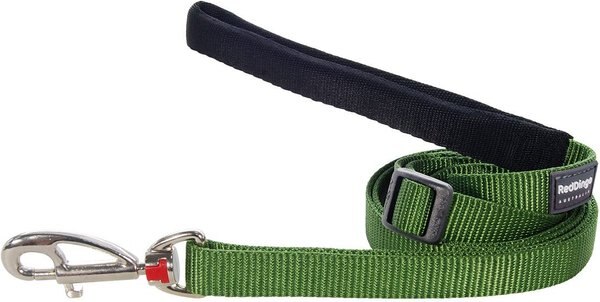 Red Dingo Classic Nylon Dog Leash, Green, Large: 6-ft long, 1-in wide slide 1 of 8