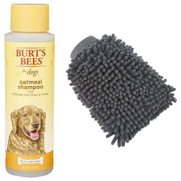 Burt's Bees Dog Shampoo, 16-oz bottle + Frisco Grooming Glove slide 1 of 8