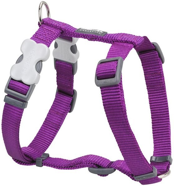 Red Dingo Classic Nylon Back Clip Dog Harness, Purple, Large: 22 to 31.5-in chest slide 1 of 9
