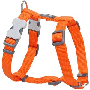 Red Dingo Classic Nylon Back Clip Dog Harness, Orange, Large: 22 to 31.5-in chest