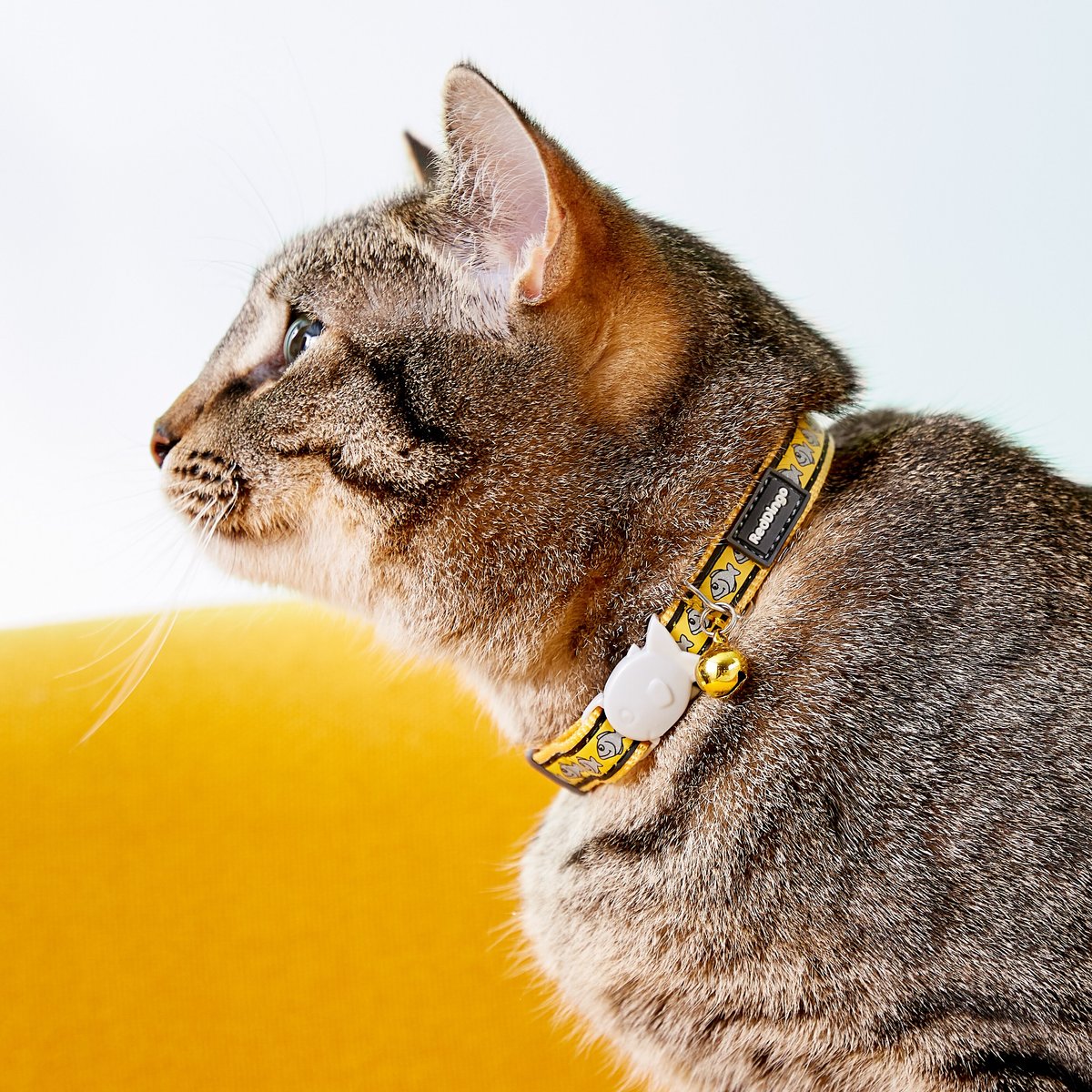 RED DINGO Nylon Reflective Breakaway Cat Collar with Bell, Yellow, 8 to
