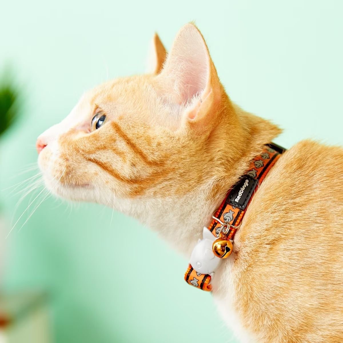 RED DINGO Nylon Reflective Breakaway Cat Collar with Bell, Orange, 8 to