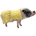 Morty's Pig Clothes Summer Sun UV Protection Mini Pig Dress, Yellow Daisy, X-Small