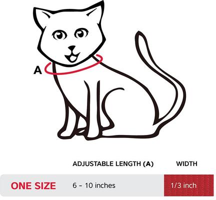 Show full view: Red Dingo Nylon Breakaway Kitten Collar, Light Blue, 6 to 10-in neck, 1/3-in wide slide 7 of 10