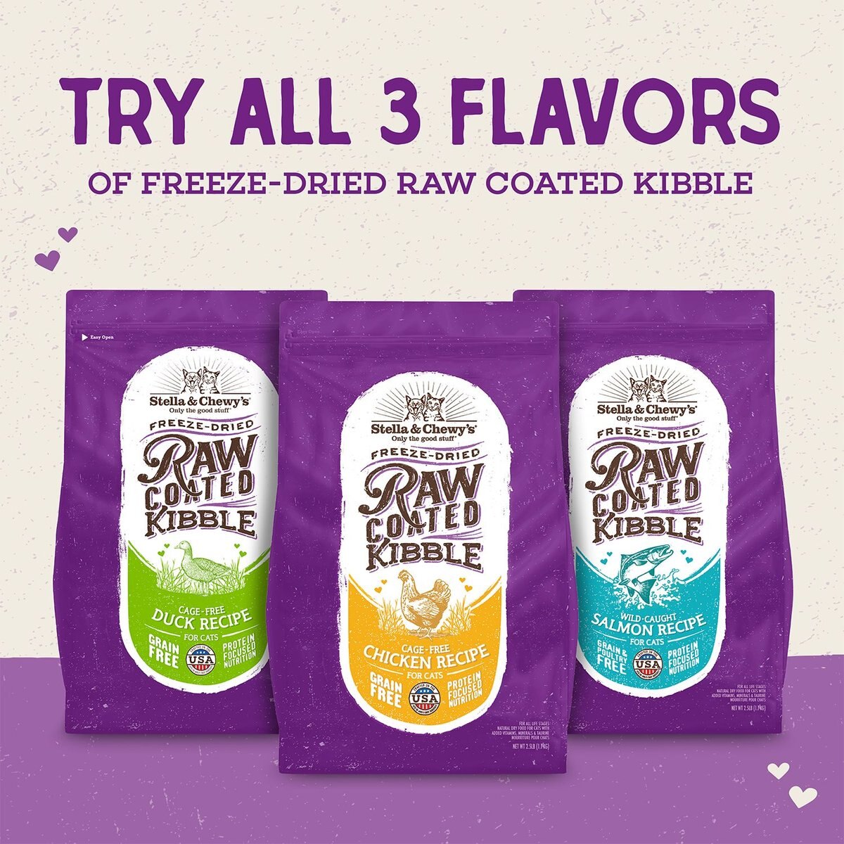 STELLA & CHEWY'S Wild Caught Salmon Flavored Raw Coated Dry Cat Food, 5