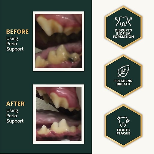 VetriScience Perio Support Powder Dental Supplement for Cats & Dogs, 4.2-oz bottle