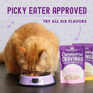 Best shredded cat food best sale