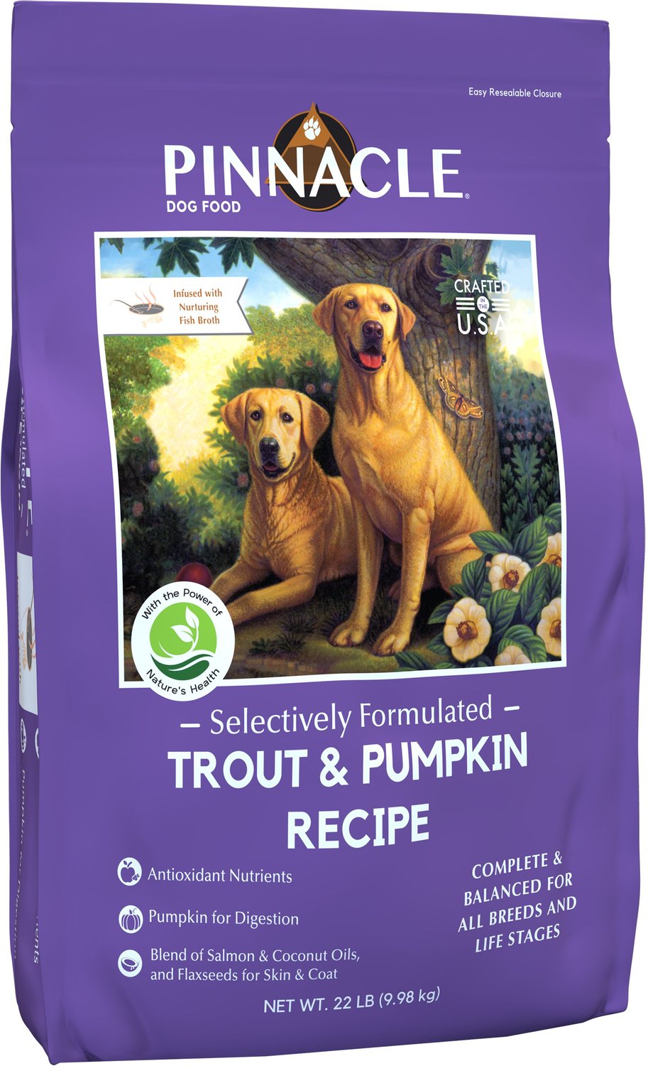 pumpkin flavored dog food