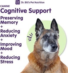 Dr. Bill's Pet Nutrition Canine Cognitive Support Brain & Nervous System Senior Dog Supplement Powder, 180-gm pouch slide 2 of 8