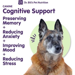 Dr. Bill's Pet Nutrition Canine Cognitive Support Brain & Nervous System Senior Dog Supplement Powder, 180-gm pouch