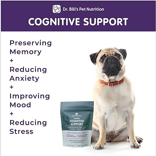 Dr. Bill's Pet Nutrition Canine Cognitive Support Brain & Nervous System Senior Dog Supplement Powder, 180-gm pouch