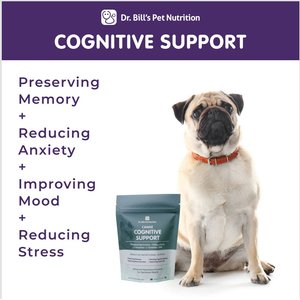 Dr. Bill's Pet Nutrition Canine Cognitive Support Brain & Nervous System Senior Dog Supplement Powder, 180-gm pouch