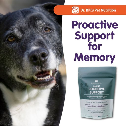 Dr. Bill's Pet Nutrition Canine Cognitive Support Brain & Nervous System Senior Dog Supplement Powder, 180-gm pouch