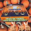Sweet Meadow Farm Halloween Edition Bunny Bento Box Small Pet Treats, 10-oz box