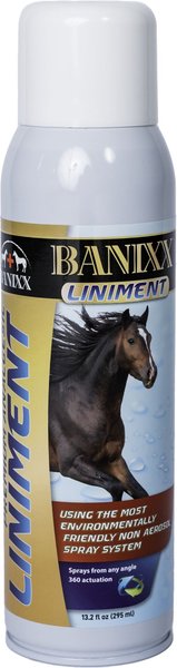 Banixx Premium Liniment Horse First Aid, 13.2-fl oz bottle