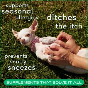 Native Pet Allergy & Immune Chews Allergy & Itch Relief Supplement for Dogs, 60 count