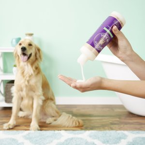 Buddy Wash Original Lavender & Mint Dog Shampoo & Conditioner, 16-fl oz bottle