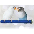SunGrow Nail & Beak Trimmer Sand Coated Wooden Bird Perch Stand, Blue, 8-in