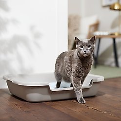 Frisco Senior and Kitten Cat Litter Box, 24-in