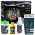 Glofish Starter Kit - GloFish Aquarium Kit, 5-gal + 4 other items