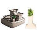 Miaustore Cat Grass Cup, Cream + Dog & Cat Ceramic Water Fountain, 115-oz, Cream