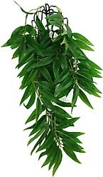Komodo Climbing Bamboo Aquarium Plant, Medium