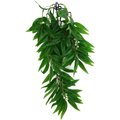 Komodo Climbing Bamboo Aquarium Plant, Medium