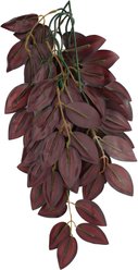 Komodo Climbing Zebrina Aquarium Plant, Medium slide 2 of 5
