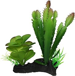 Komodo Cactus & Succulent Aquarium Plant, 5-in