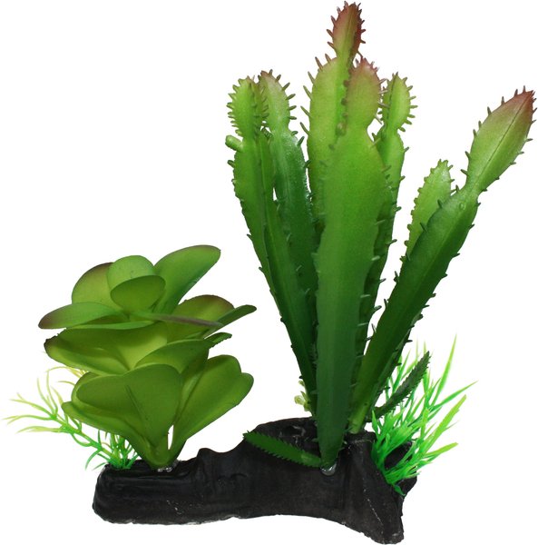Komodo Cactus & Succulent Aquarium Plant, 5-in slide 1 of 5