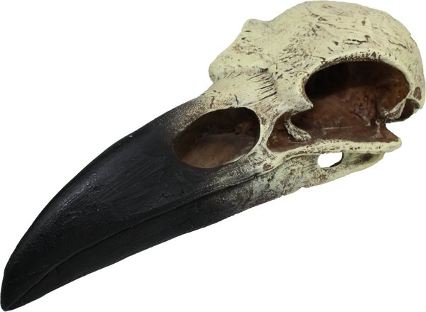 Komodo Raven Skull Aquarium Ornament, 8-in slide 1 of 5