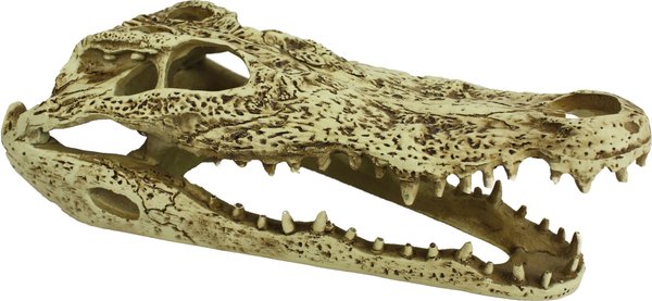 Komodo Alligator Skull Aquarium Ornament, 9-in slide 1 of 5