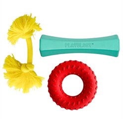 Playology Branded Pack - Playology Scented Dual Layer Ring Dog Toy, Medium, Beef Scented + 2 other items