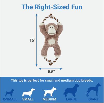 Show full view: Frisco Branded Pack - Frisco Hide & Seek Plush Trash Can Puzzle Dog Toy + 3 other items slide 3 of 9