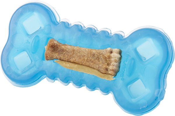 Nylabone Romp n Chomp Freezer Bone Treat Holder Dog Chew Toy